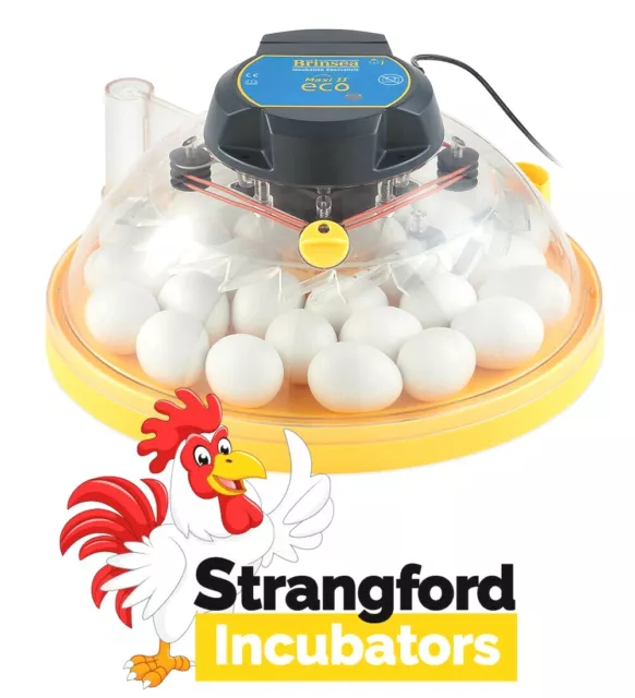 Brinsea octagon 20 advance incubator with autoturn cradle sales