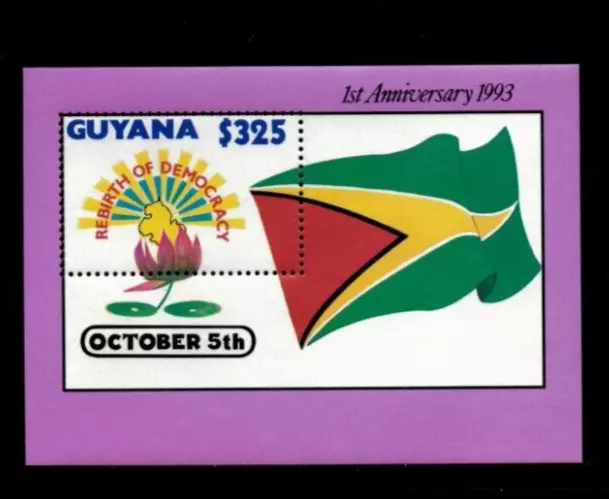 Guyana 1994 - First Anniversary Flags - Souvenir Stamp Sheet - Scott#2757a - MNH