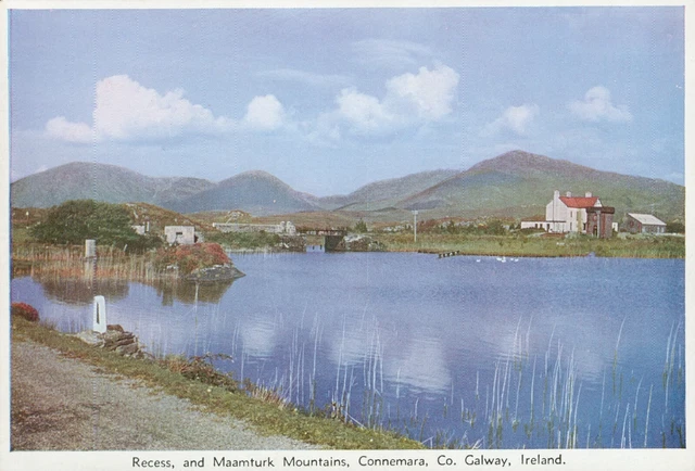 Recess and Maamtuck Mountains, Connemara, Ireland ("P C" Color Card, No. 74)