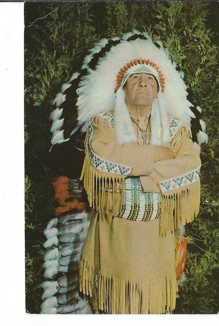 CH-145 Chief Brown Eagle of the Chippewa Indian Tribe Chrome Postcard
