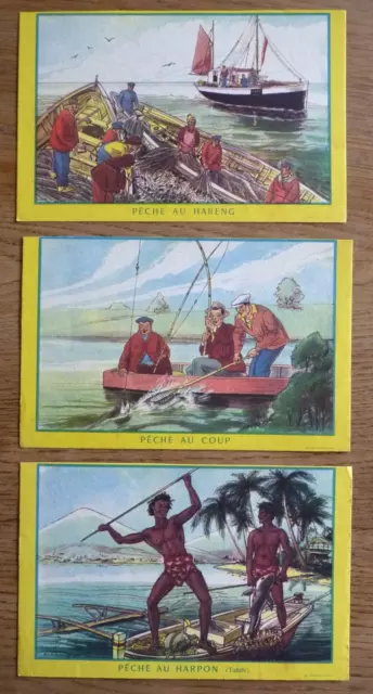 Buvard - Luc - Biscottes - Pêche Au Harpon - " Au Coup - " Au Hareng - Mer -