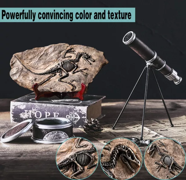 Dinosaur Fossil Resin Dinosaur Skeleton Model Skull Statue Bones Figurines T ... 2