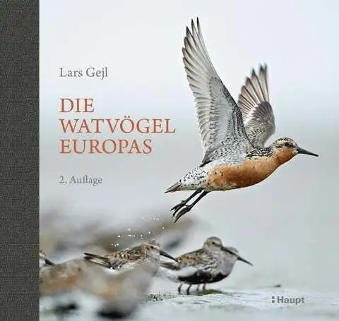 Die Watvögel Europas Gejl, Lars  Buch