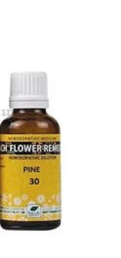 Bach Fiore Remdies Pino 100Ml