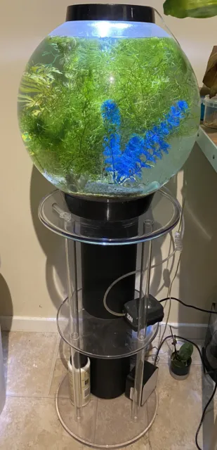 Biorb classic 30l fish tropical tank with stand and extras