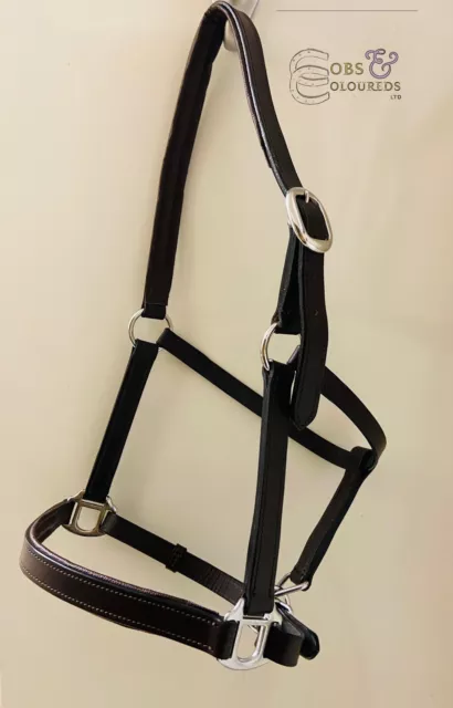 Padded Leather Headcollar, Black & Brown, Pony, Cob, Full, X Full Sheldon