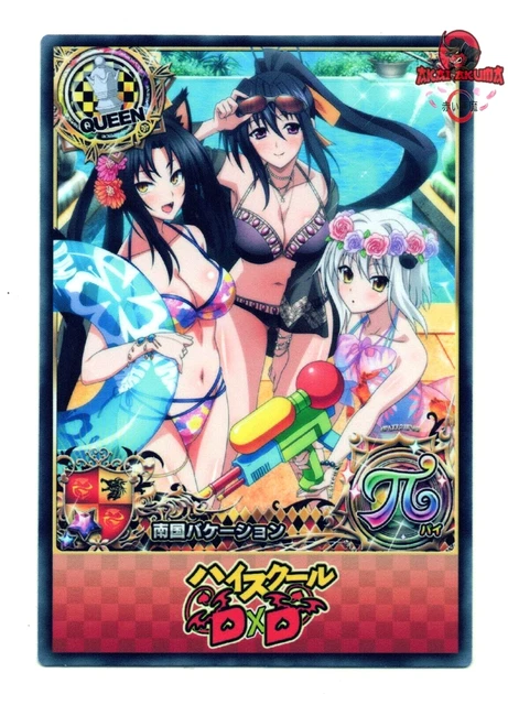 HIGH SCHOOL DXD Anime Card Akeno & Koneko Waifu Manga Cardass Doujin 39 ...