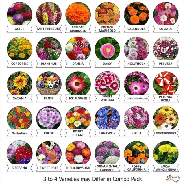 Fresh Garden Flower Seeds Flowering Seeds for Home Gardening- 30 Packets, Approx