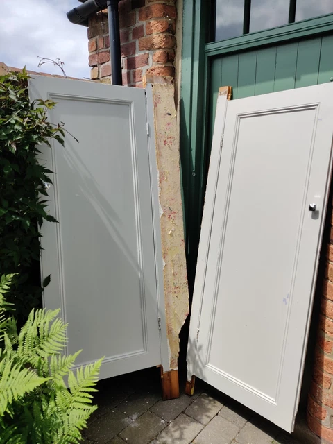 Reclaimed Pair of Victorian Cupboard Doors 4