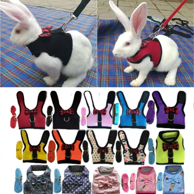 Harnais Souple Réglable Noir/Rouge Avec Gilet De Laisse Élastique Pour Lapin F 2