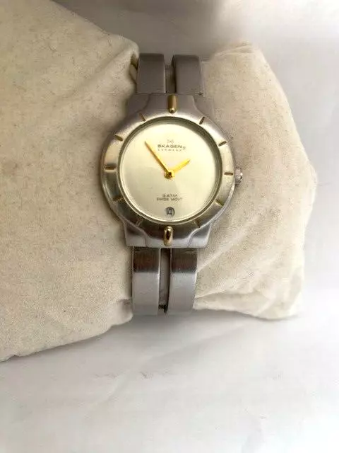 Skagen skw 6472 hotsell