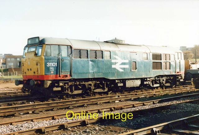 Railway-Photo-6x4-Class-31-31101-BR-Blue