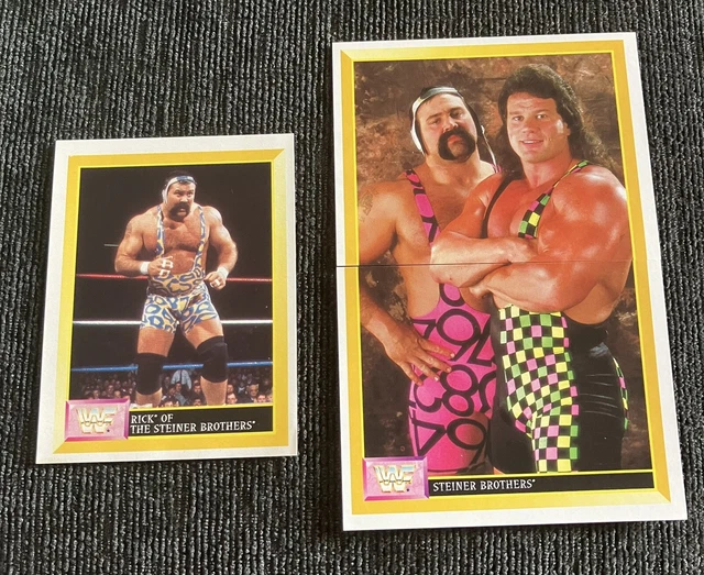 WWF Merlin Stickers Steiner Bros 1993