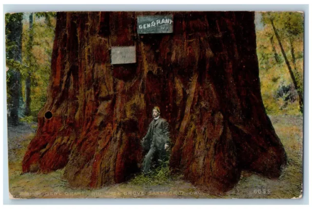 Santa Cruz California CA Postcard Gen. Grant Big Tree Grove Scenic View 1909 Man