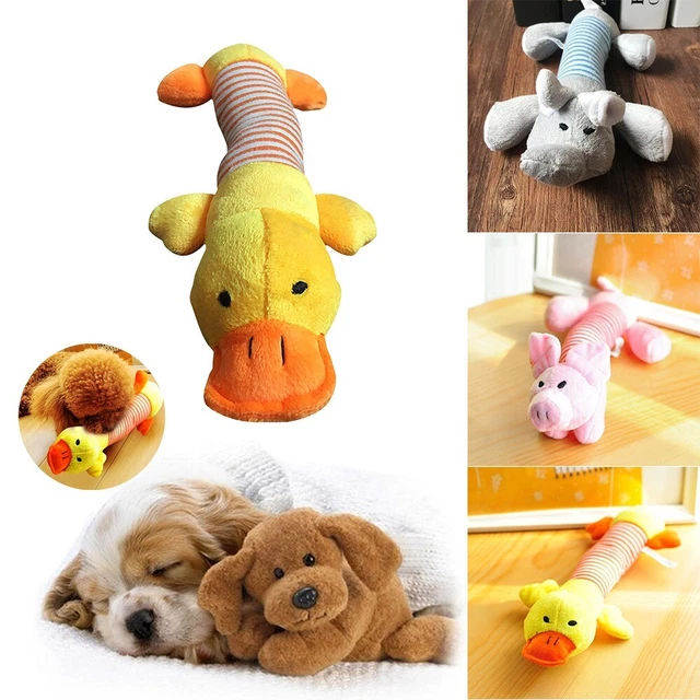 Hundespielzeug Quietscher Hund Spielzeug Plüsch Kauspielzeug Welpen Kauen Toy HH
