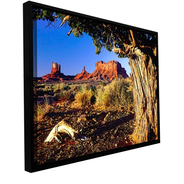 ArtWall Dean Uhlinger 'Monument Valley Morn' Floater Framed  Small