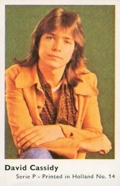 David Cassidy, Dandy Gum Pop Stars Serie P 1977 #14