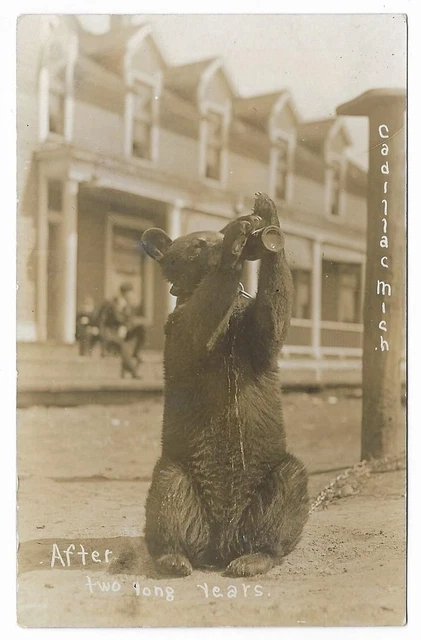 YOU PICK: Real Photo Postcards - Michigan ("C" Cities).