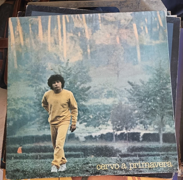 RICCARDO COCCIANTE - Cervo A Primavera - Vinile Lp 33 Giri Pl 31546 EUR ...