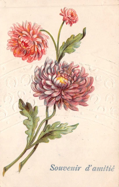 Cartolina Fantasia,Souvenir Amicizia,Cartolina Rilievo