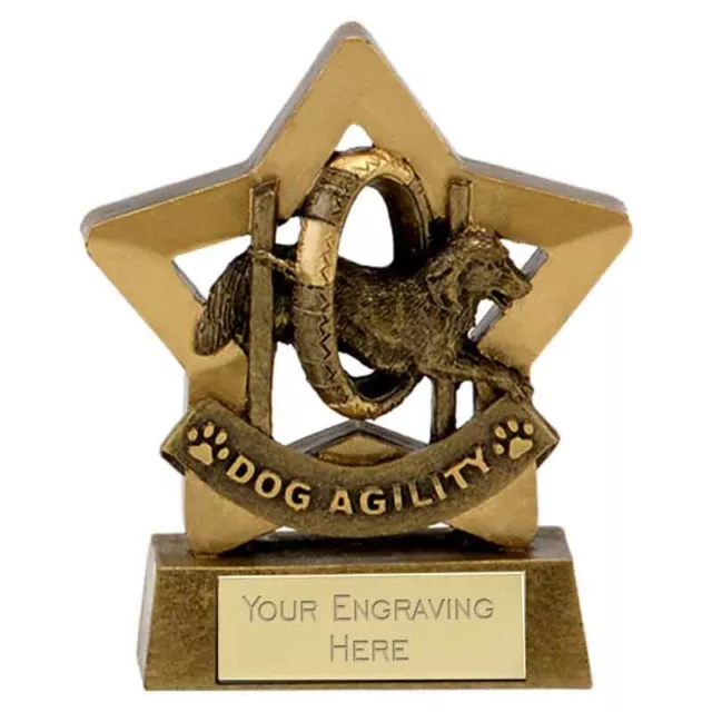 Personalised Engraved MinI Star Dog Agility Great Player Team Award