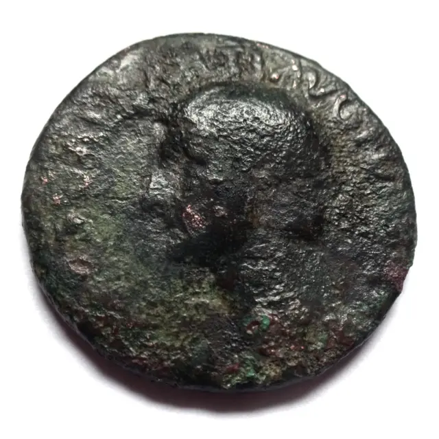Drusus - As - Roman Coin