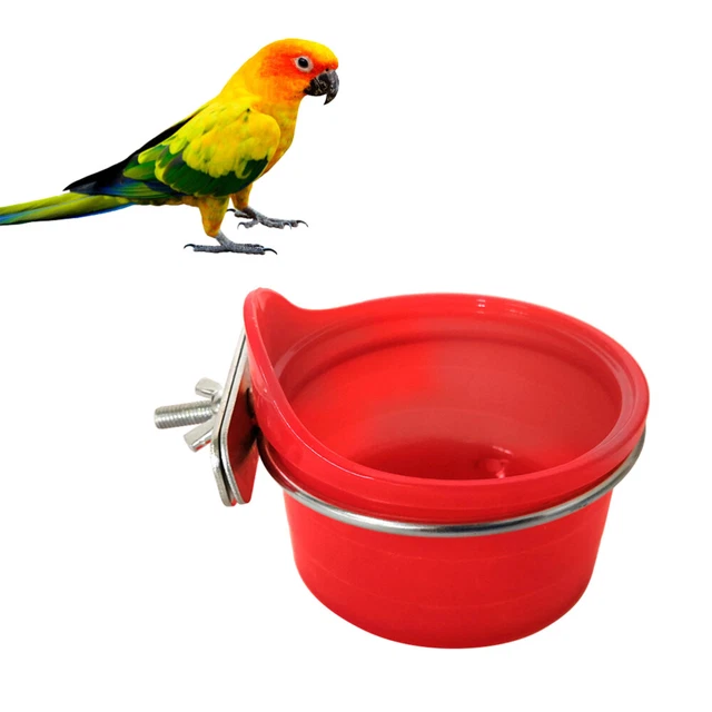 Fournitures pour oiseaux Multifonction Perroquet Mangeoire À Oiseaux Abreuvoir