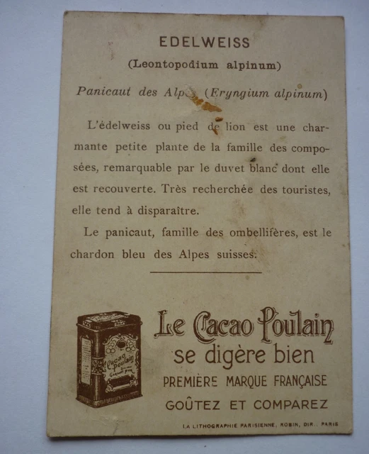 ANCIENNE GROSSE BOITE de Chocolat POULAIN de 3 KG EUR 9,00 - PicClick FR