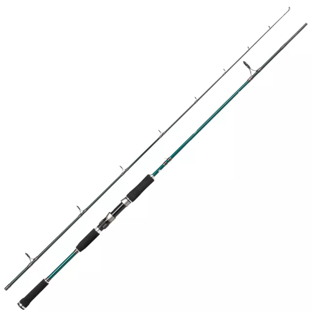 Abu Garcia Beast X Spinning 2,59m 40-140g starke Hechtrute Spinnrute Angelrute