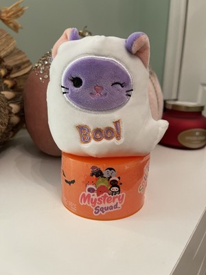 squishmallow mystery capsule