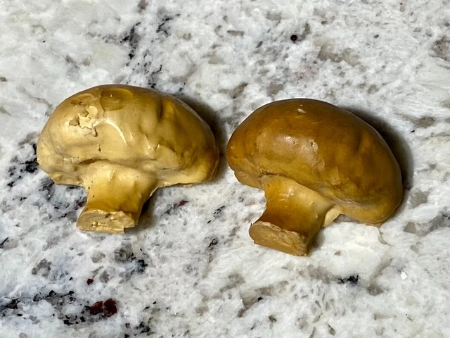 Vintage 3D Simulation Fridge Magnets X2 Vegetable Mushroom Decor Rubber Retro