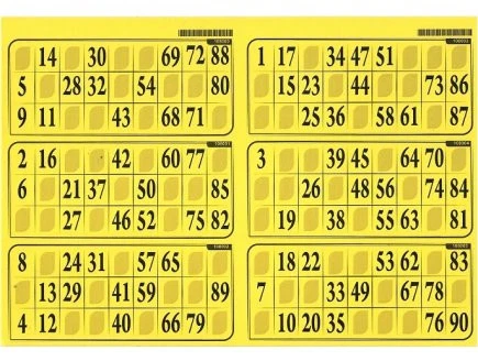 504 Cartons De Loto Orange - Format 90 Boules - Papier 240g - Idéal Soirées & Associations
