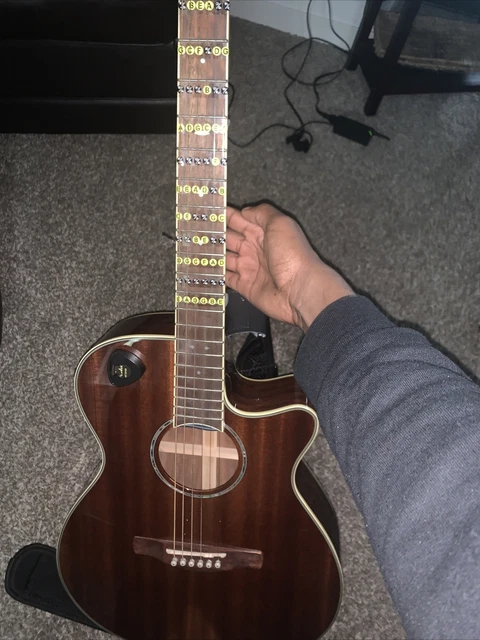 Ibanez EW 2012ASENT Acoustic/ Pick holder