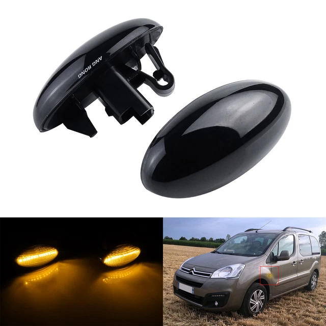 Jeu De 2 Clignotants Latéraux 6325G3 - Compatible Peugeot 206, 307, 1007, Citroën C1, C3, Berlingo... - Lentille Transparente, Argenté