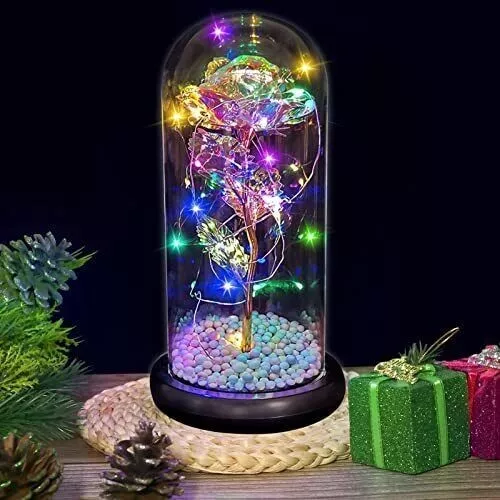 Beauty and the Beast Rose - Forever Rose in a Glass Dome with LED String Lights