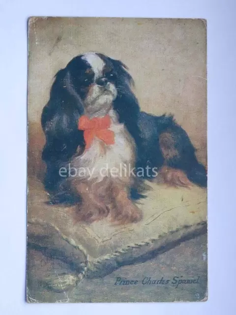 PRINCE CHARLES SPANIEL cane dog vecchia cartolina