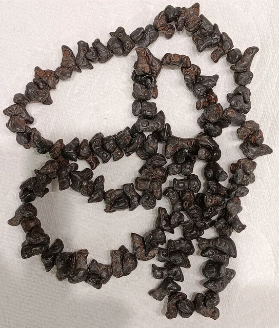 Mexico Oaxacan Black Clay 29"  Necklace, Sculpted Fetish 120 Birds