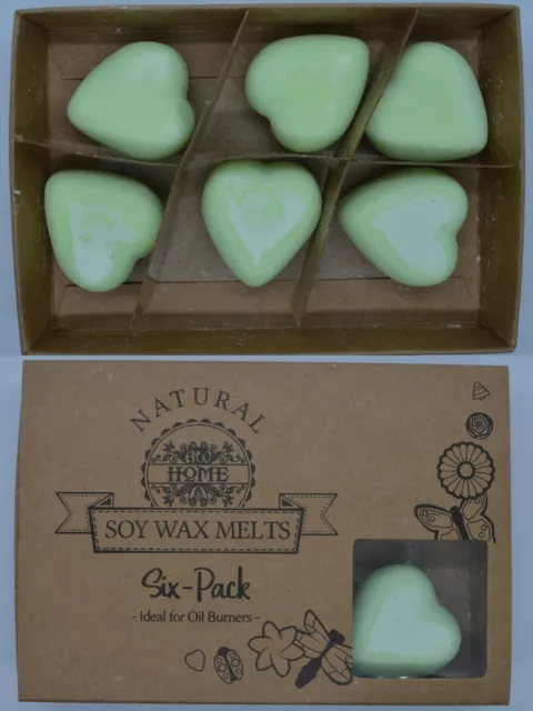 Mint & Menthol Scented Luxury Soy Wax Melts for Oil Burners Gift Box Set aromath