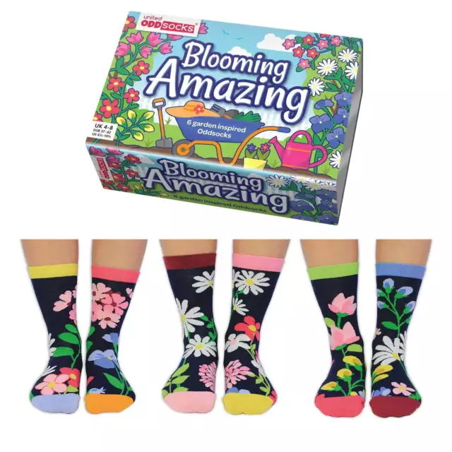 Oddsocks Blumen im Garten SOCKEN 6er Set 37 42 Frau Strümpfe Verrückte Bunt NE