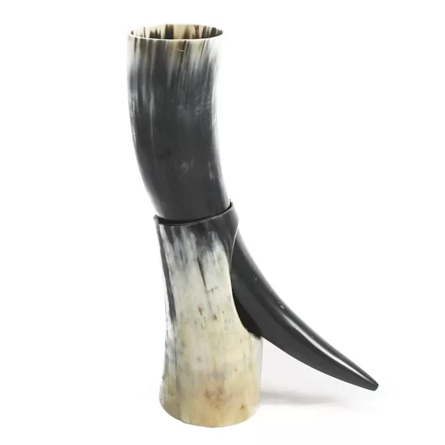 OX Norwegian Viking drinking horn & horn stand for mead beer wine pagan ale gift 2