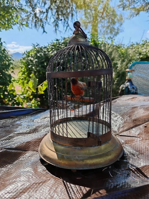 POUPÉE BOÎTE À musique Reuge EUR 150,00 - FR