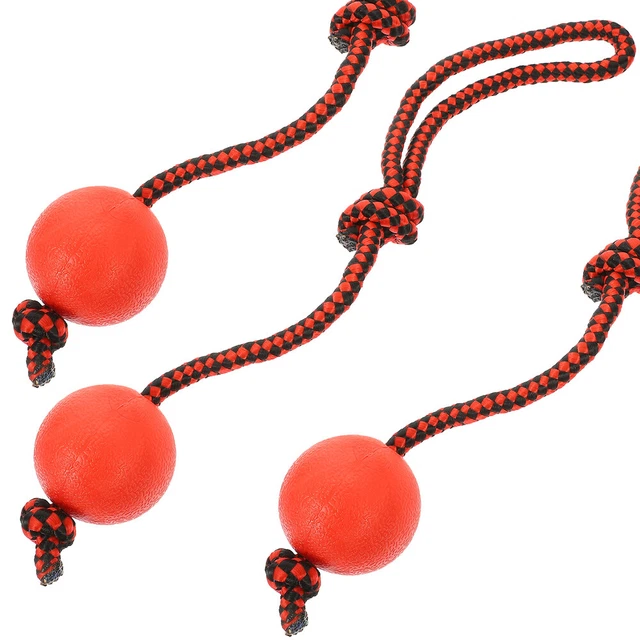 3pcs Hundekauen Spielzeug Interaktive Hundeballhunde Training Hund Fetch
