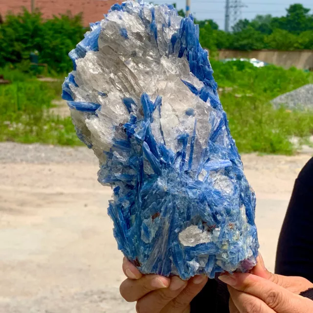 5.58LB Rare!! Natural beautiful Blue KYANITE with Quartz Crystal Specimen Rough