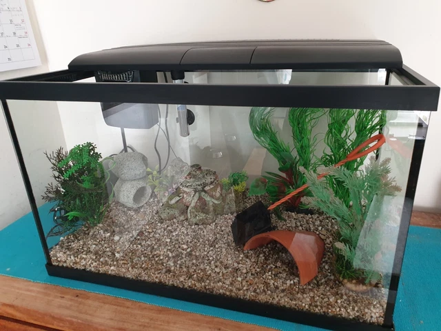 Used 60 litre fish tank and accessories - perfect starter kit