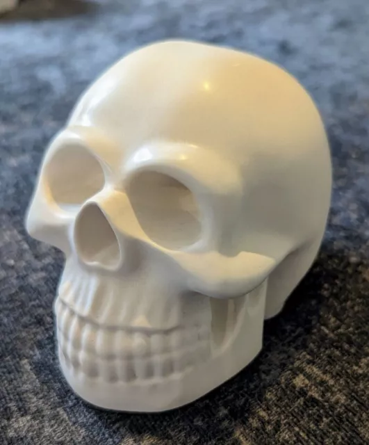 Grande teschio stonecast 3D per punteggiatura/mandala/pittura
