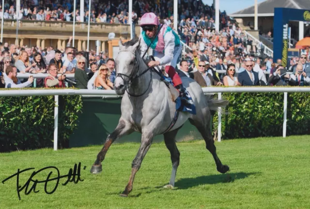Frankie Dettori Hand Signed 12X8 Photo Logician Horse Racing Autograph 1