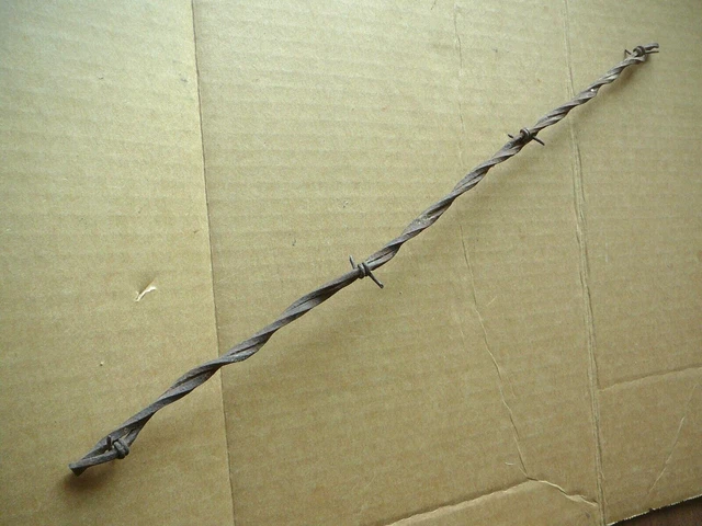 Gliddens Two Point Barb Large & Small Square Lines - Antique Barbed Wire