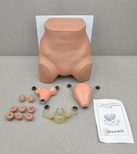 Simulaids Nasco Healthcare Eva Pelvic Teaching Gynecologic Manikin 160-1900