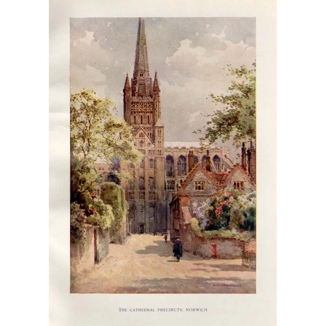 NORWICH The Cathedral Precincts by Ernest Haslehust - Antique Print 1920