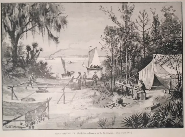 Shad-fishing In Florida  Harper's Weekly  - March 28, 1885